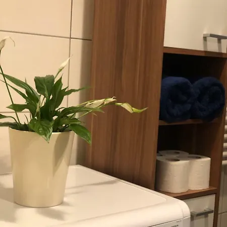 Apartman V Centru Mesta * Brno