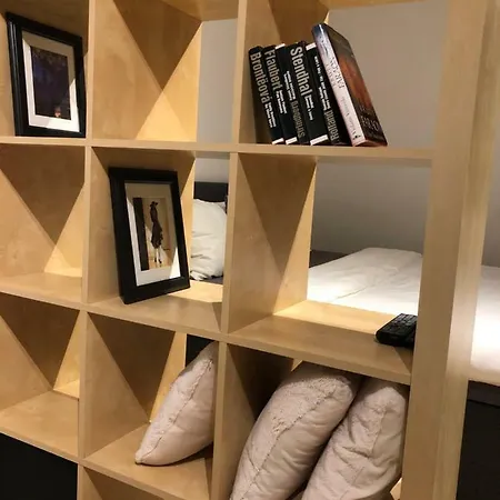 Apartman V Centru Mesta * Brno
